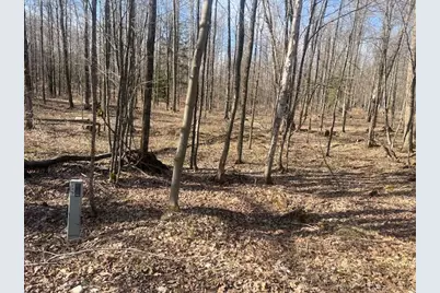 Bartz Bay Road, Pickerel, WI 54465 - Photo 1