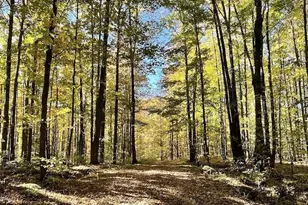 Old J Rd, Athelstane, WI 54104 - Photo 1