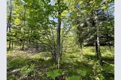 Kafka Road, Wausaukee, WI 54157 - Photo 1