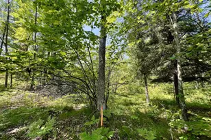 Kafka Rd, Wausaukee, WI 54157 - Photo 1