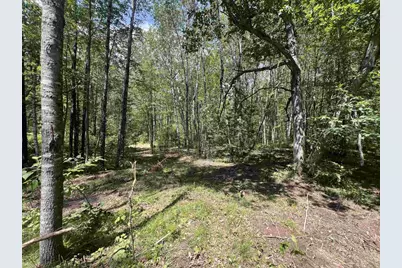 Reynolds Road, Wausaukee, WI 54177 - Photo 1