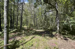 Reynolds Rd, Wausaukee, WI 54177 - Photo 1