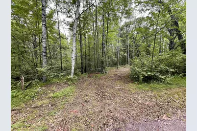 Reynolds Road, Wausaukee, WI 54177 - Photo 1