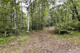 Reynolds Rd, Wausaukee, WI 54177 - Photo 1