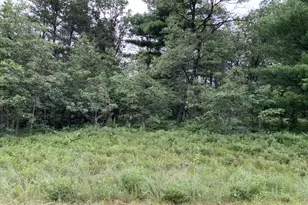 Winchester Trail, Crivitz, WI 54114 - Photo 1