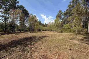 Burnt Pine Rd, Lakewood, WI 54138 - Photo 1