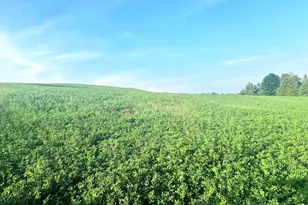 Co Rd 358, Daggett, MI 49821 - Photo 1