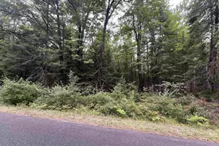 Bruette Rd, Wausaukee, WI 54177 - Photo 1