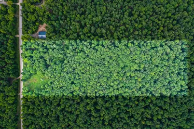 N12986 Berry Woods Trail, Athelstane, WI 54104 - Photo 1