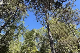 Idlewild Woods Dr, Sturgeon Bay, WI 54325 - Photo 1