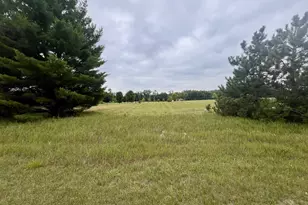 Shaffer Rd, Crivitz, WI 54114 - Photo 1