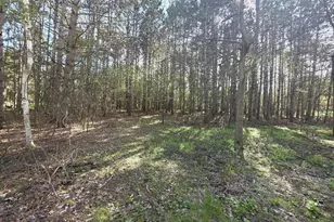 Alpine Dr, Wautoma, WI 54982 - Photo 1