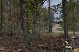 Lot 10 Rhett Ln, Wausaukee, WI 54177 - Photo 1