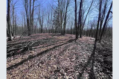 Rhett Lane, Wausaukee, WI 54177 - Photo 1