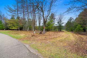 Russ Mainik Rd, Wausaukee, WI 54177 - Photo 1
