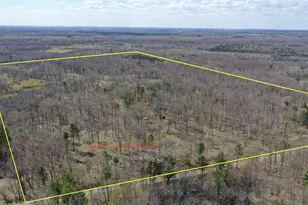 N10755 Ashley Rd, Clintonville, WI 54929 - Photo 1