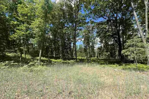 Rhett Ln, Wausaukee, WI 54177 - Photo 1
