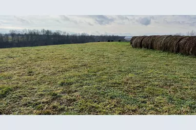 360-5 Mulligan Road, Dry Ridge, KY 41035 - Photo 5