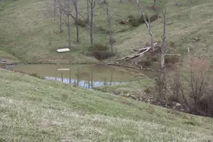 9520 East Bend Road, Burlington, KY 41005 - Photo 5