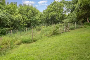 6436 Vineyard Ln, Melbourne, KY 41059 - Photo 11