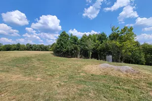 220 Old Eagle Tunl Rd, Glencoe, KY 41046 - Photo 43