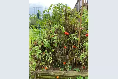 220 Old Eagle Tunnel Road, Glencoe, KY 41046 - Photo 29