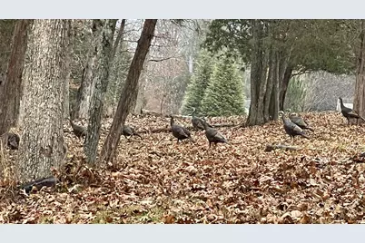 330 Hideaway Drive, Owenton, KY 40359 - Photo 11