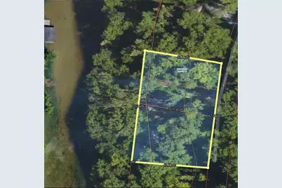 705 Swanee Shores Drive, Williamstown, KY 41097 - Photo 23