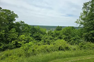 438 Ky Hwy 455, Sparta, KY 41086 - Photo 13