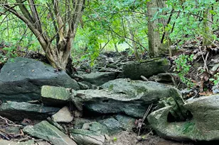 10061 Persimmon Grove Pike, Alexandria, KY 41001 - Photo 13