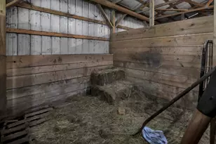 10061 Persimmon Grove Pike, Alexandria, KY 41001 - Photo 29