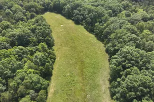 139 Old Pinhook Rd, Mount Olivet, KY 41064 - Photo 7