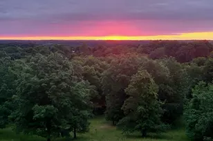 139 Old Pinhook Rd, Mount Olivet, KY 41064 - Photo 19