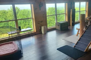 139 Old Pinhook Rd, Mount Olivet, KY 41064 - Photo 35