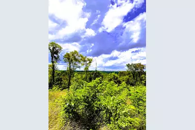 5 Ac Oak Ridge Road #Parcel A, Williamstown, KY 41097 - Photo 1