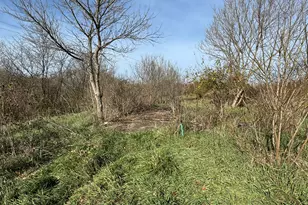 4370 Cordova Rd, Williamstown, KY 41097 - Photo 19