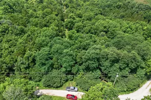 295 Fairview Rd, Williamstown, KY 41097 - Photo 45