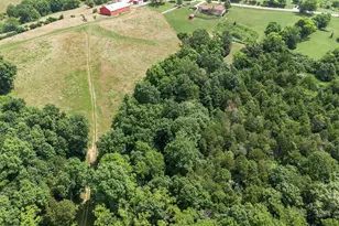 295 Fairview Rd, Williamstown, KY 41097 - Photo 43