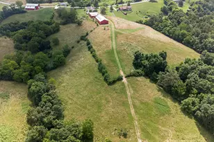 295 Fairview Rd, Williamstown, KY 41097 - Photo 41