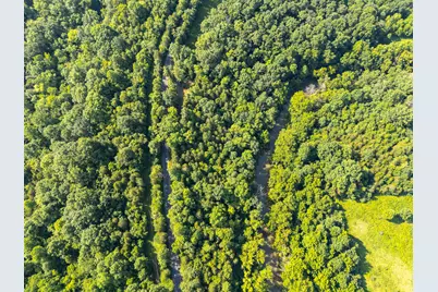 2379 Straight Shoot Road, Falmouth, KY 41040 - Photo 11