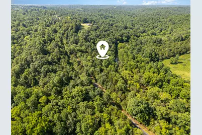 2379 Straight Shoot Road, Falmouth, KY 41040 - Photo 3