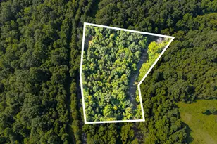 2379 Straight Shoot Rd, Falmouth, KY 41040 - Photo 1