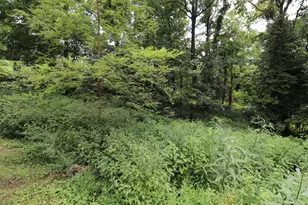 354 Garrett Ave, Brooksville, KY 41004 - Photo 3