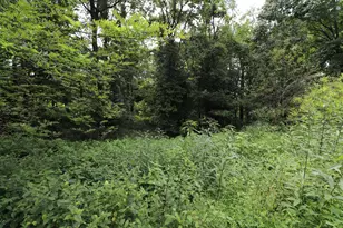 354 Garrett Ave, Brooksville, KY 41004 - Photo 5