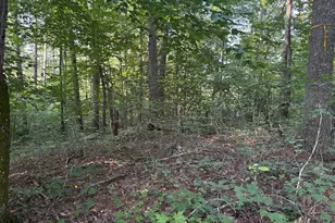 Lot 7 Victory Falls Development, Campton, KY 41301 - Photo 3