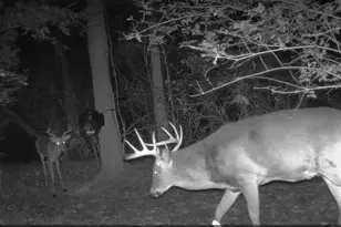 10590 Riddles Run Rd, Union, KY 41091 - Photo 45