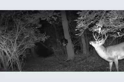 10590 Riddles Run Road, Union, KY 41091 - Photo 43