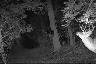 10590 Riddles Run Rd, Union, KY 41091 - Photo 43