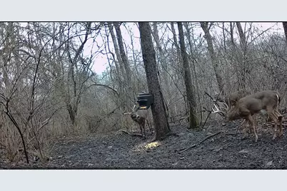 10590 Riddles Run Road, Union, KY 41091 - Photo 47