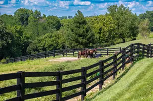 250 Boltz Lake Rd, Dry Ridge, KY 41035 - Photo 37